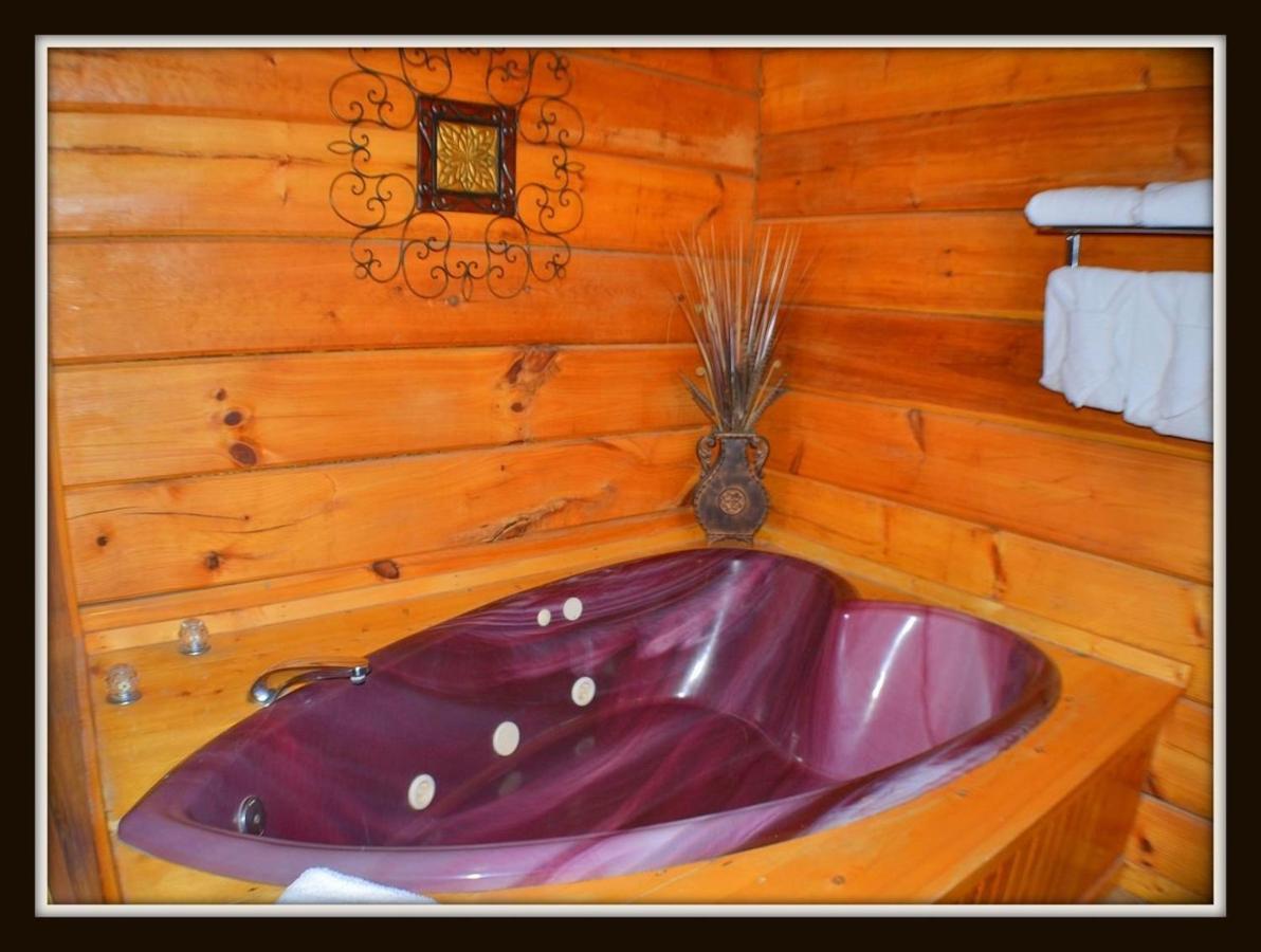 Priscilla Heights Lane Cabin 3301 Пиджен Фордж Екстериор снимка